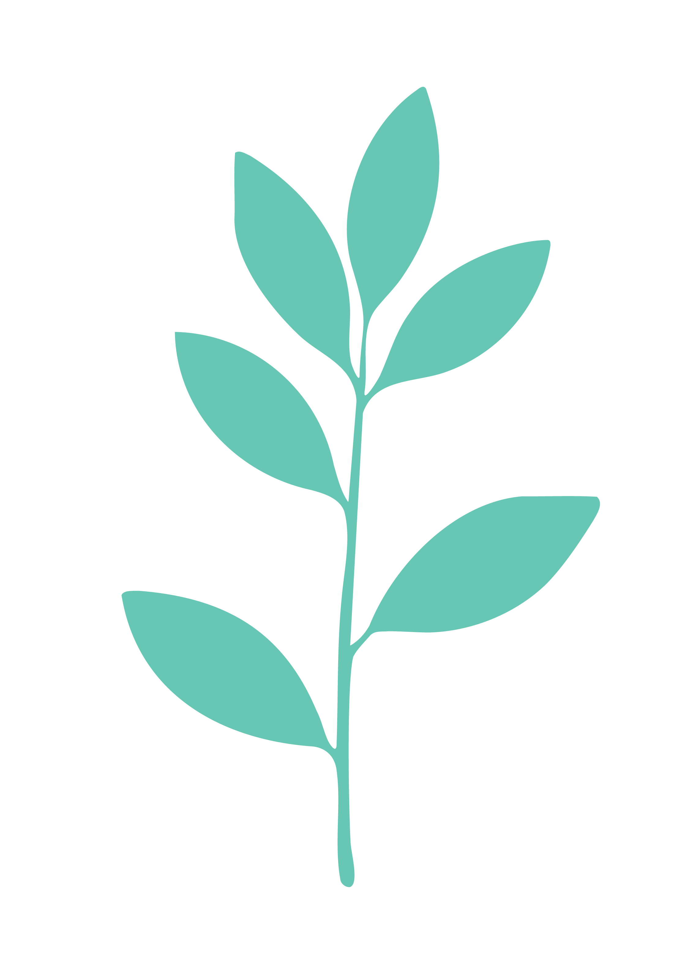 Abstractie illustratie van een plantje